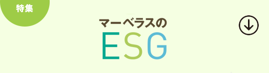 マーベラスのESG